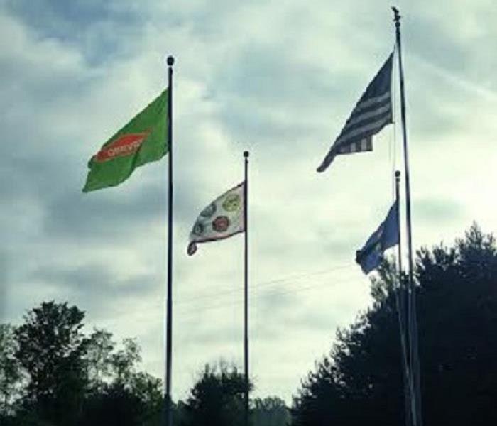 Image of the 4 flags outside our office 