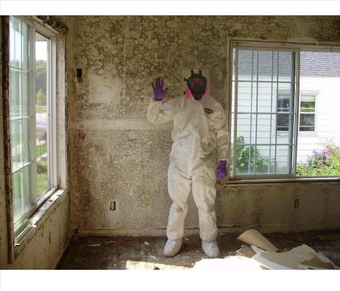 Wall covered by mold and SERVPRO technician wearing PPE 