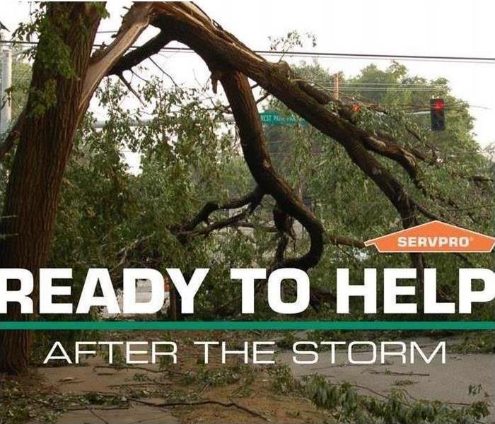 Road with broken tree and SERVPRO logo and text ready to help after the storm