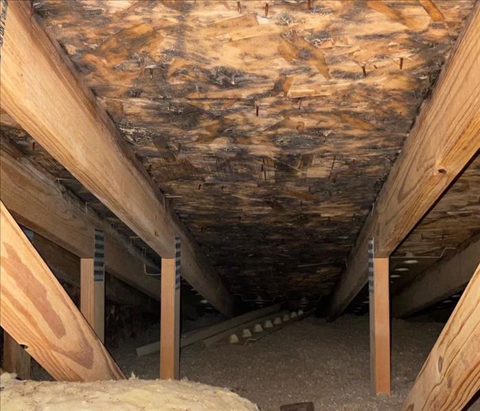 image of an attic with visible mold on surfaces
