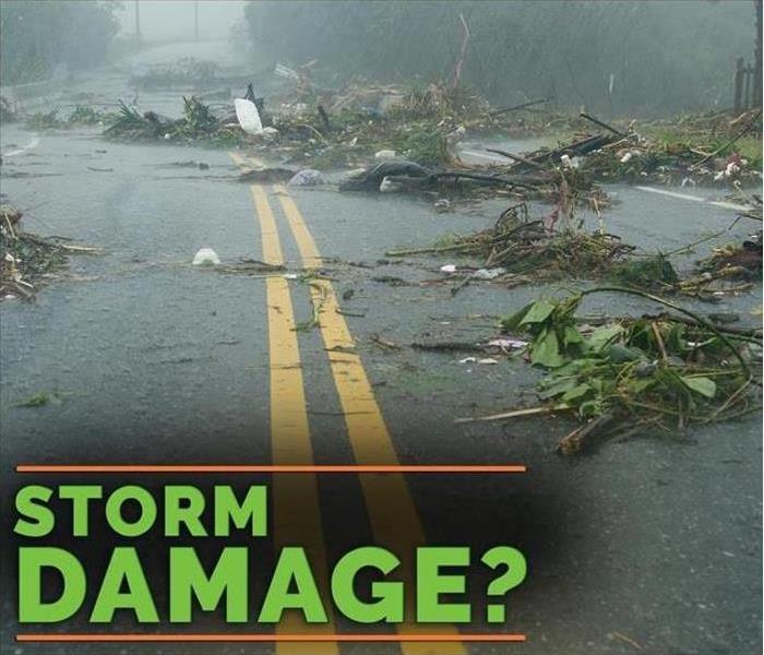 view of a wet road and broken branches and leaves on it and text question "storm damage?"